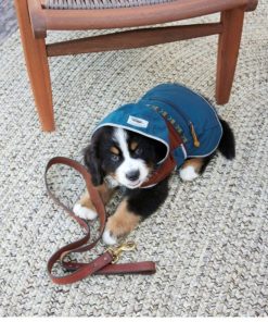 Heidimaria.shop035973f81c 3