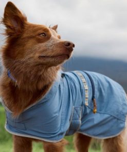 Heidimaria.shop25f4c016c3 3