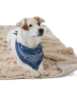 Heidimaria.shop55a9e2168b 2