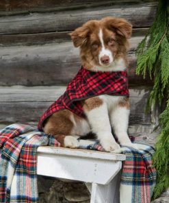 Heidimaria.shop6ba1c4c981 4